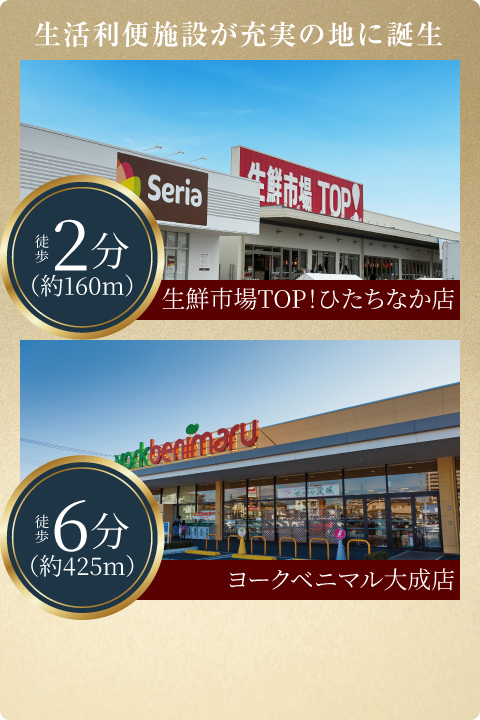 徒歩圏に2つのスーパー｜生鮮市場TOP!ひたちなか店（徒歩2分／約160m）、ヨークベニマル大成店（徒歩6分／約426m）